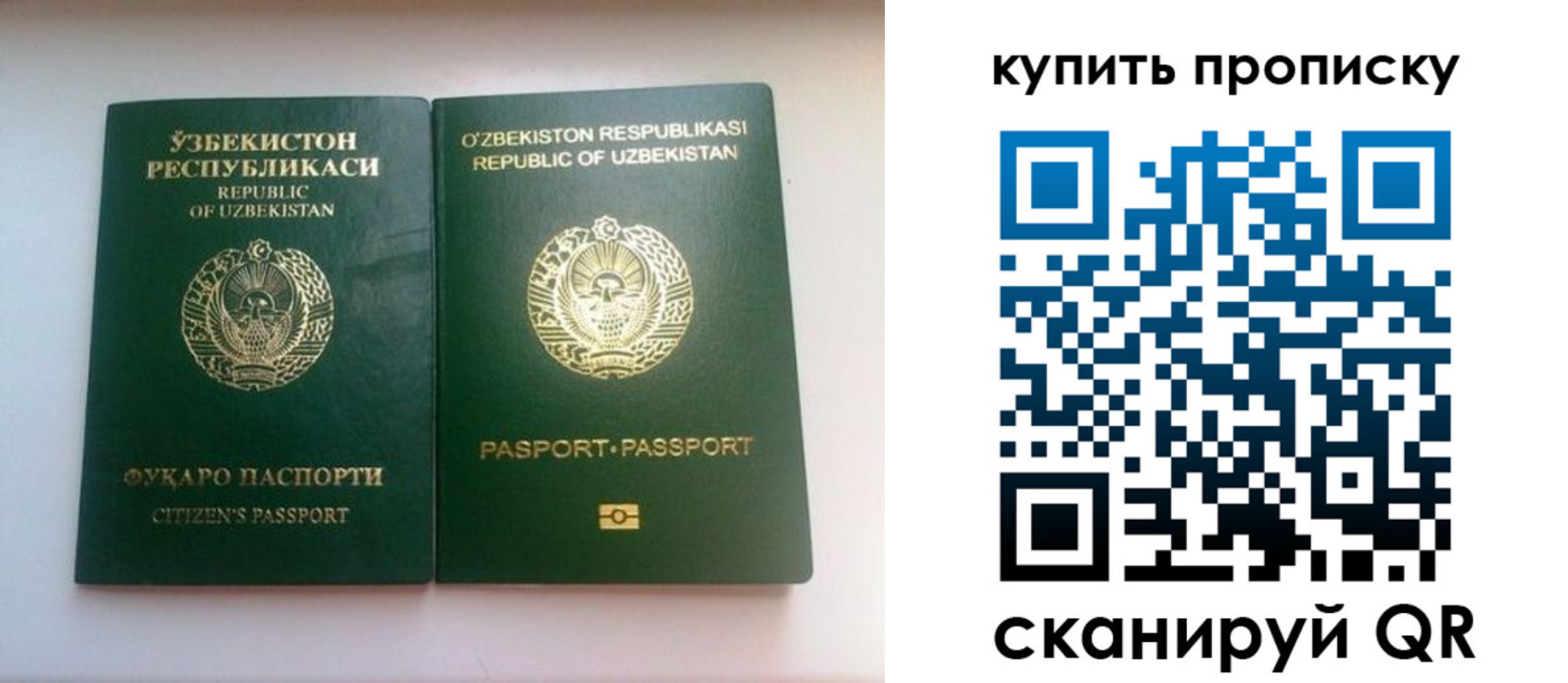 прописка в квартире в Барыше